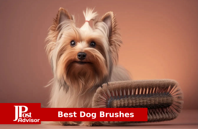  Best Dog Brushes for 2023 (photo credit: PR)