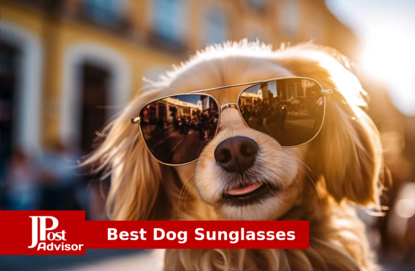  Best Dog Sunglasses for 2023 (photo credit: PR)
