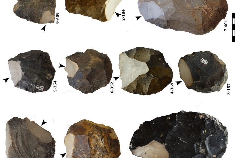  Handaxes from Gesher Benot Ya'aqov tested geochemically. Arrows indicate the striking of flakes sampled (photo credit: TEL AVIV UNIVERSITY)
