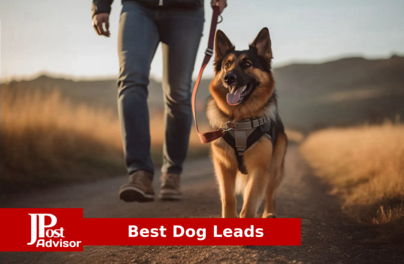 Best Dog Leads for 2023 (photo credit: PR)