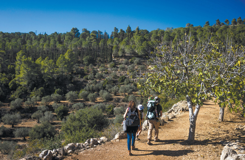  CHOOSING THE Hills: Hiking the Sataf in the Jerusalem Hills. (photo credit: YONATAN SINDEL/FLASH90)