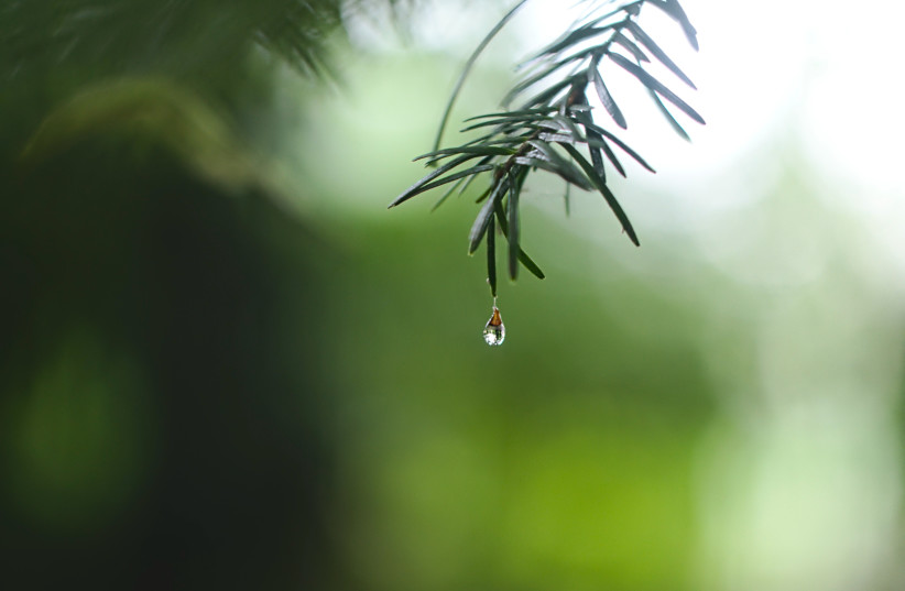  TEARS: OTHER tragedies that occurred on this same black date.  (photo credit: Ed Leszczynskl/Unsplash)