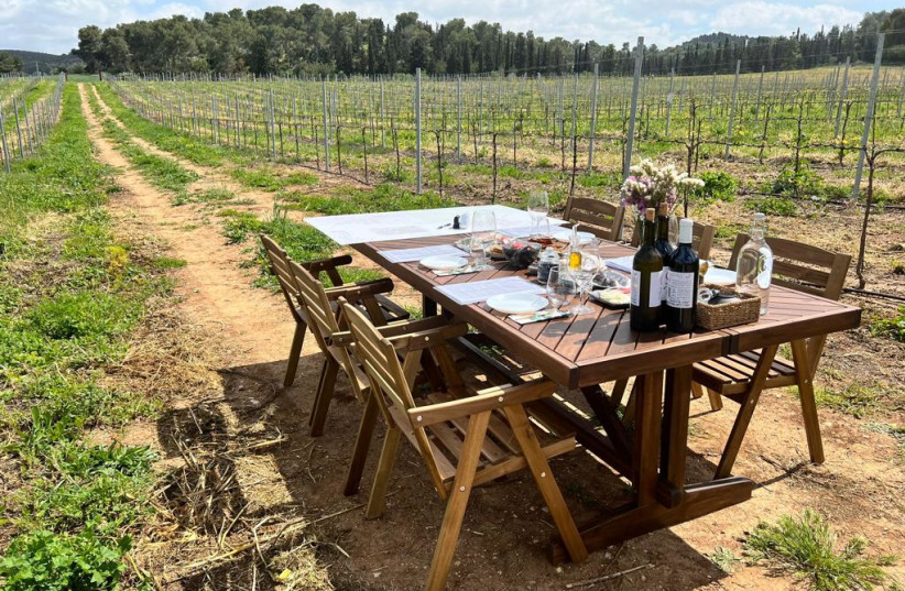  IT’S A beautiful place to picnic, entertain or be entertained, either in the vineyard or under the pergola.  (photo credit: Anava Vineyards)