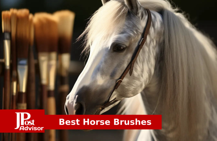  Best Horse Brushes for 2023 (photo credit: PR)
