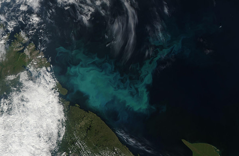 The Moderate Resolution Imaging Spectroradiometer (MODIS) on NASA’s Aqua satellite acquired a true-color image of the colors created by a large bloom of phytoplankton off the coast of Russia’s Kola Peninsula on July 14. (photo credit: MODIS Land Rapid Response Team, NASA GSFC)