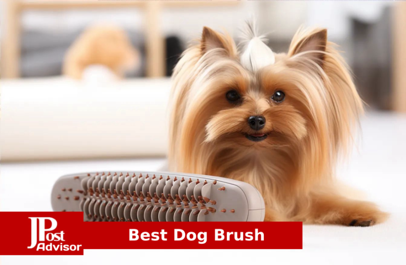  Best Dog Brush for 2023 (photo credit: PR)