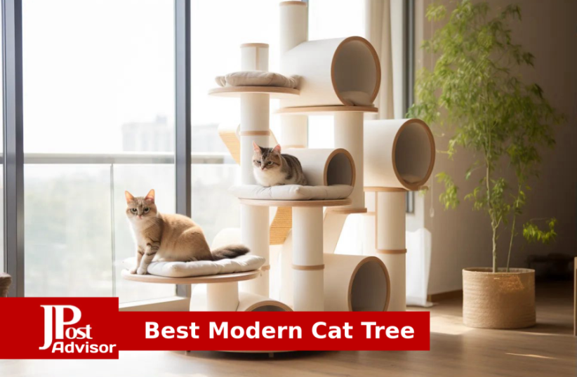 Best Modern Cat Tree for 2023 (photo credit: PR)