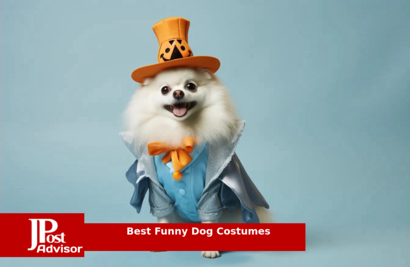  Best Funny Dog Costumes for 2023 (photo credit: PR)