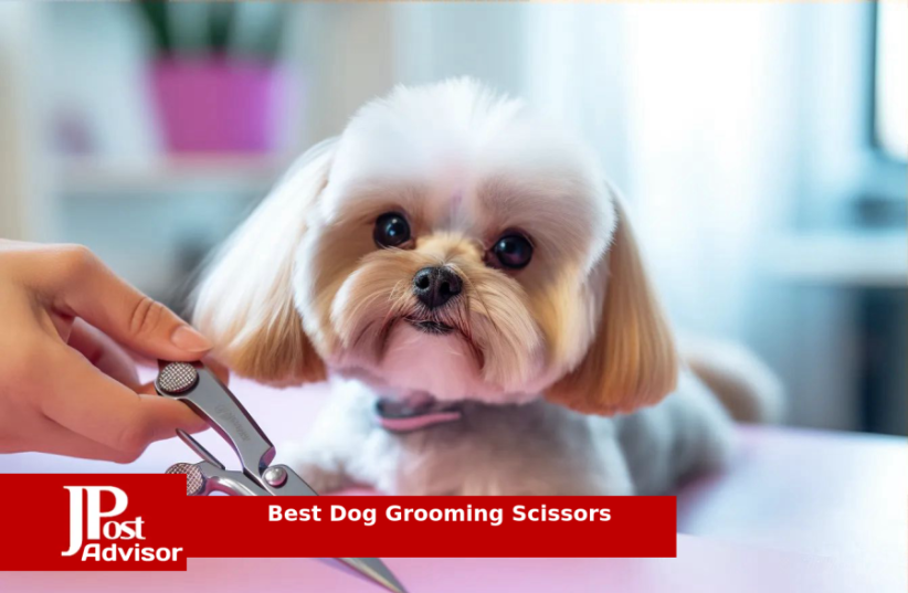  Best Dog Grooming Scissors Reviews (photo credit: PR)