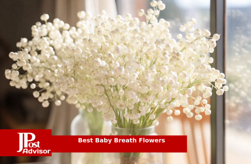  Most Popular Baby Breath Flowers for 2023 (photo credit: PR)