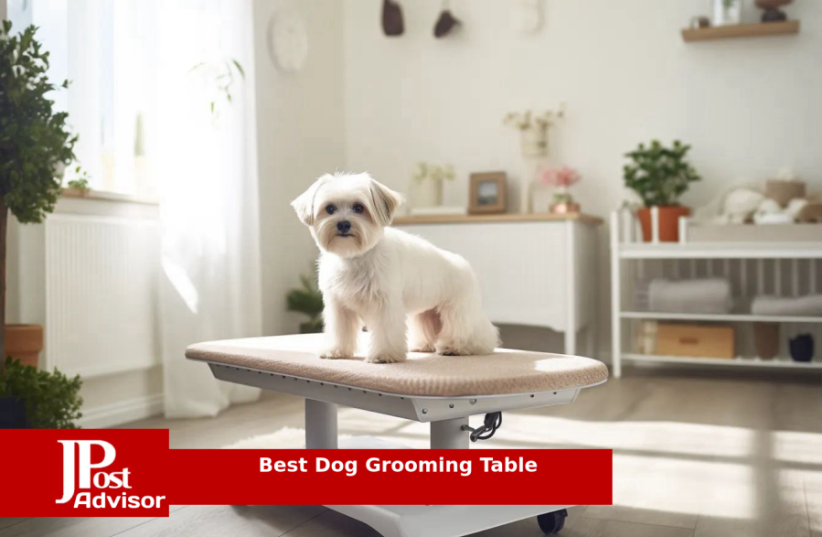   Best Selling Dog Grooming Table for 2023 (photo credit: PR)