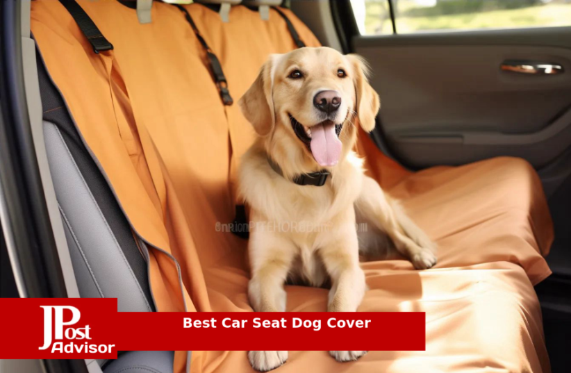  Best Selling Car Seat Dog Cover for 2023  (photo credit: PR)