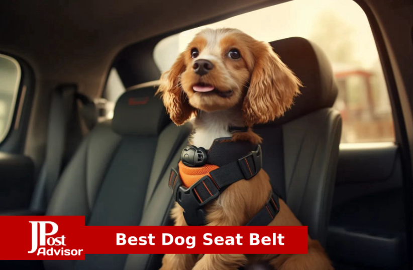  Best Dog Seat Belt for 2023 (photo credit: PR)