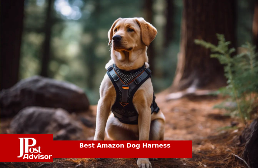  Best Selling Amazon Dog Harness for 2023 (photo credit: PR)