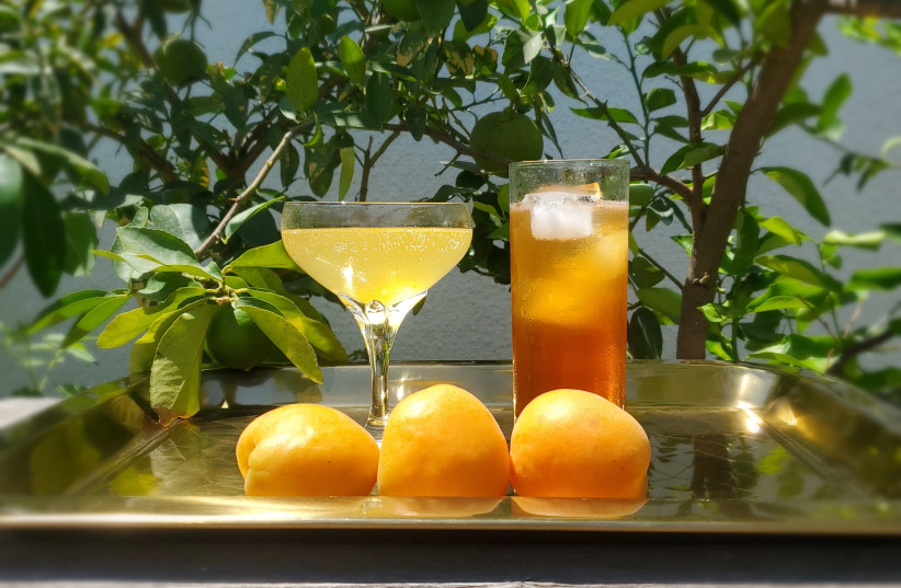  FETE THE forever and fleeting with cocktails that celebrate apricot season and Tu B’Av. (photo credit: JAY ROSEN)