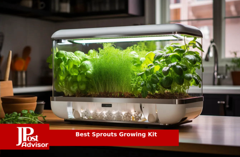  Best Selling Sprouts Growing Kit for 2023 (photo credit: PR)