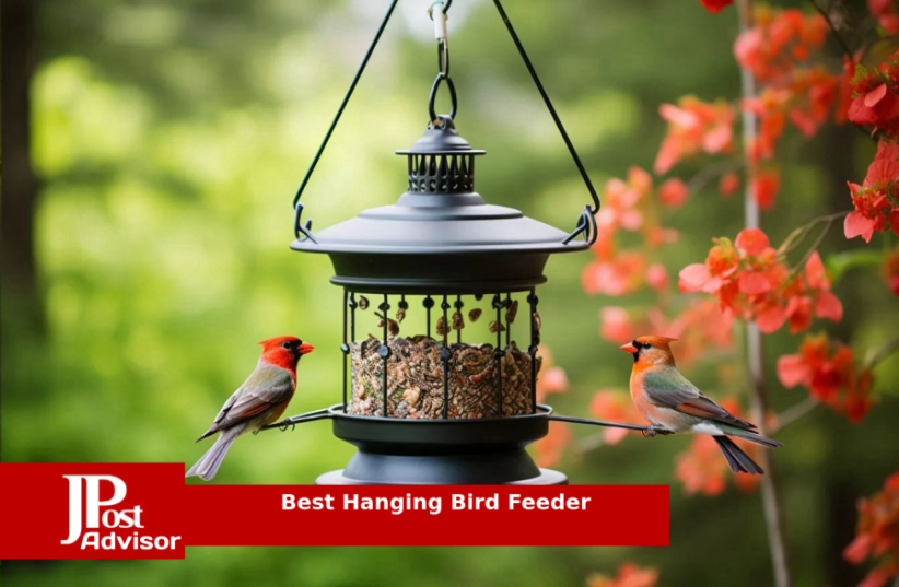  Top Selling Hanging Bird Feeder for 2023 (photo credit: PR)