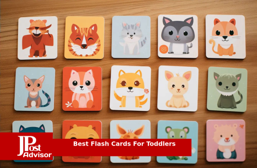  Best Flash Cards For Toddlers Review (photo credit: PR)