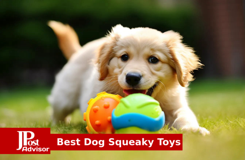  Most Popular Dog Squeaky Toys for 2023 (photo credit: PR)