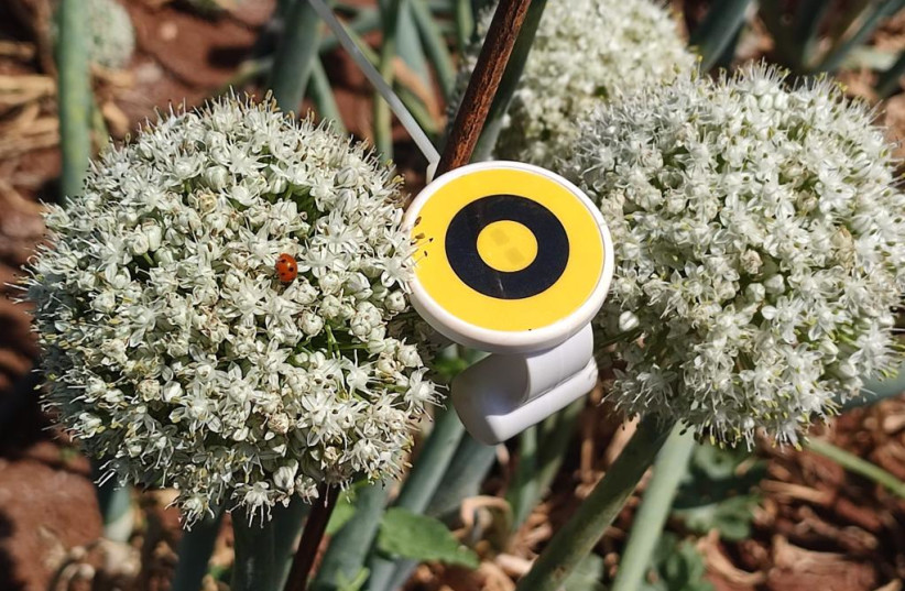  BeeHero's Pollination Insight Platform sensor. (photo credit: BEEHERO)