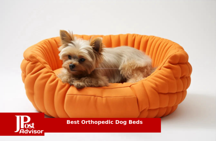  Best Orthopedic Dog Beds Review (photo credit: PR)