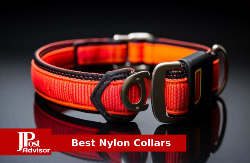  Best Nylon Collars for 2023 (photo credit: PR)