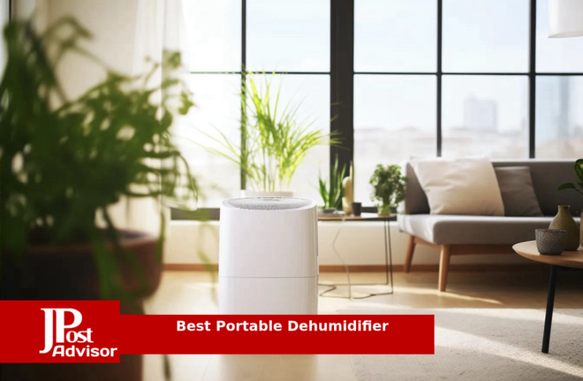  Best Portable Dehumidifier Review (photo credit: PR)