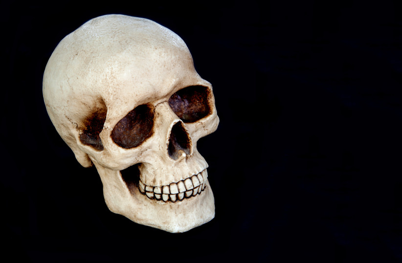  An artistic illustration of a human skull. (photo credit: INGIMAGE)
