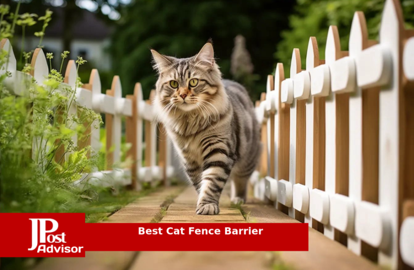 Best Cat Fence Barrier for 2023 (photo credit: PR)