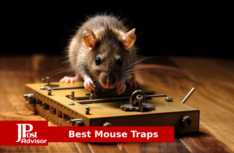  Best Mouse Traps for 2023 (photo credit: PR)
