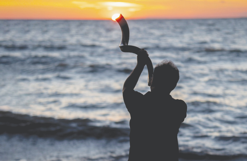  The Shofar urges us to get started, and never stop. (photo credit: Megs Harrison/ Unsplash)