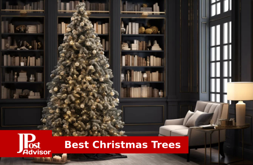  Most Popular Christmas Trees for 2023 (photo credit: PR)