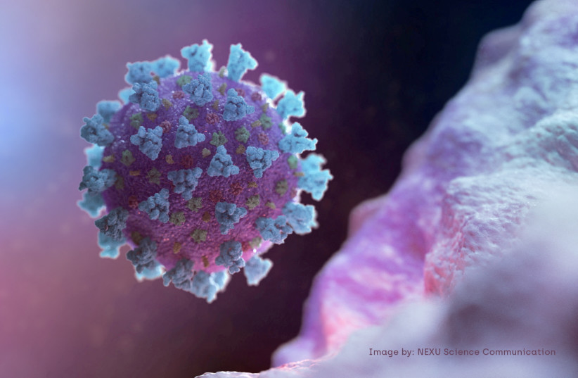  A computer image created by Nexu Science Communication together with Trinity College in Dublin, shows a model structurally representative of a betacoronavirus which is the type of virus linked to COVID-19, better known as the coronavirus linked to the Wuhan outbreak (photo credit: NEXU SCIENCE COMMUNICATION/VIA REUTERS)