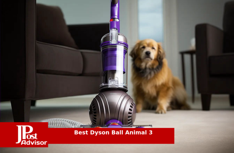  Best Dyson Ball Animal 3 Review (photo credit: PR)