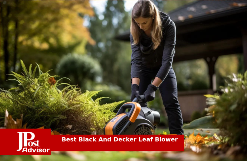  Best Black And Decker Leaf Blower for 2023 (photo credit: PR)