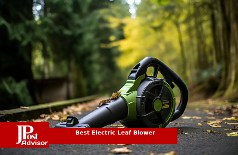  Best Electric Leaf Blower for 2023 (photo credit: PR)