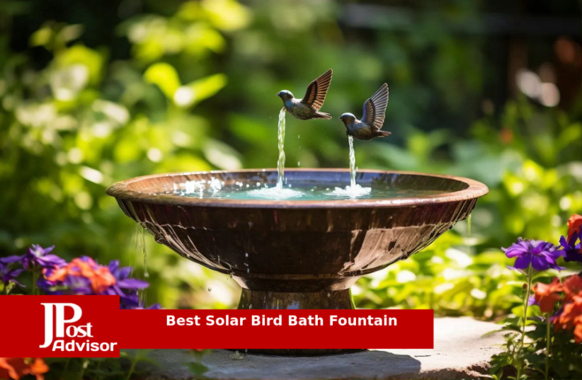  Best Solar Bird Bath Fountain Review for 2023 (photo credit: PR)