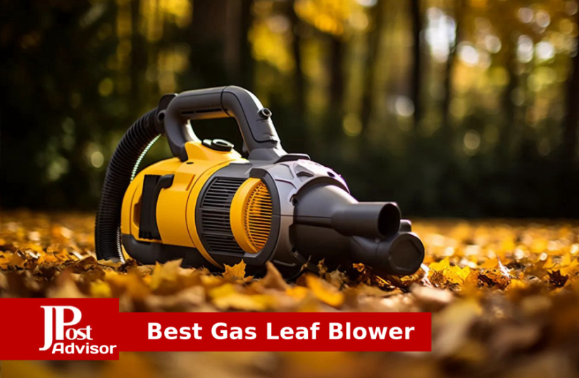  Best Gas Leaf Blower Review for 2023 (photo credit: PR)