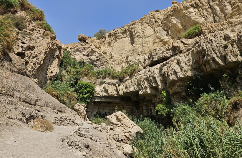  The scene of a rockslide at Nahal David near the Dead Sea. August 24, 2023 (photo credit: Lior Lev/Nature and Parks Authority)