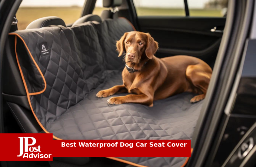  10 Best Waterproof Dog Car Seat Covers Review for 2023 (photo credit: PR)