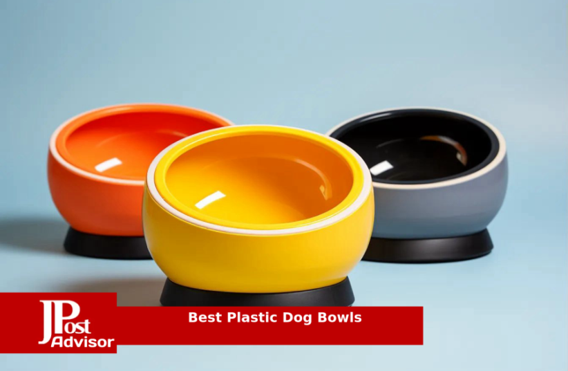  10 Best Selling Plastic Dog Bowls for 2023 (photo credit: PR)
