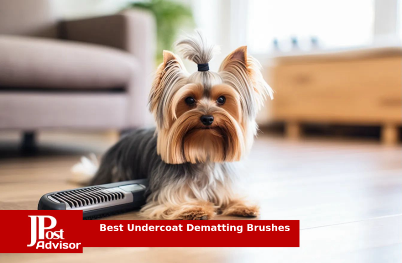  10 Most Popular Undercoat Dematting Brushes for 2023 (photo credit: PR)