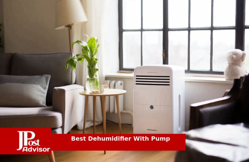  10 Best Dehumidifiers With Pump for 2023 (photo credit: PR)