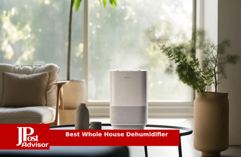 8 Most Popular Whole House Dehumidifiers for 2023 (photo credit: PR)