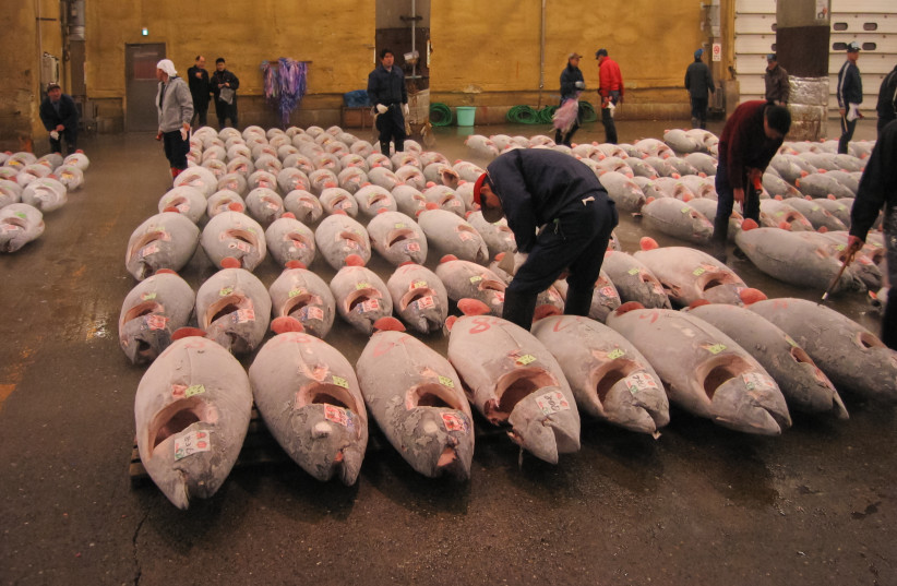  Tsukiji Fish market. (photo credit: Wikimedia Commons)