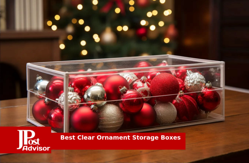  7 Best Clear Ornament Storage Boxes Review for 2023 (photo credit: PR)