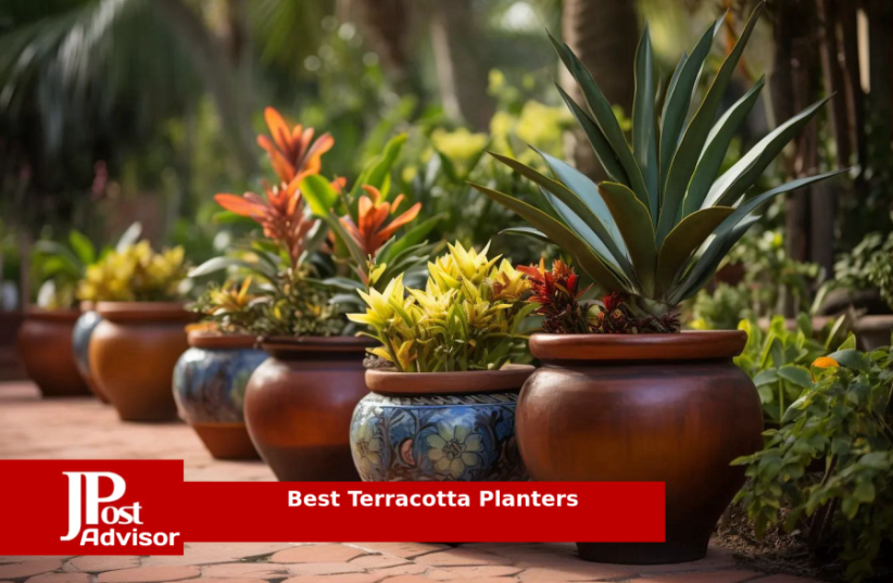  10 Best Terracotta Planters for 2023 (photo credit: PR)