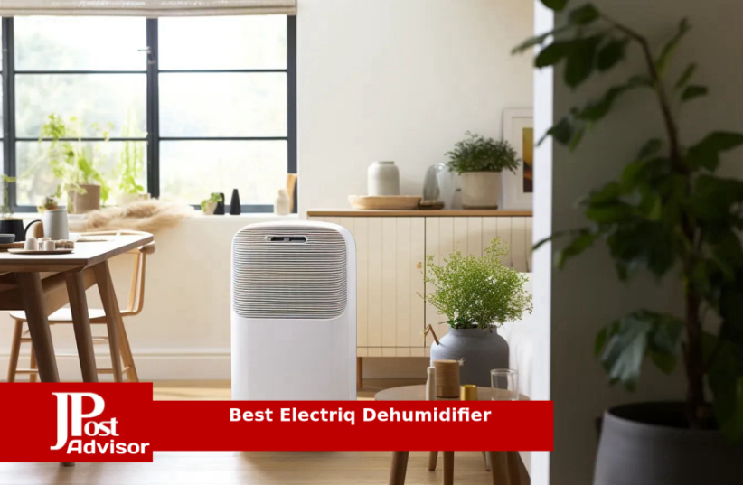  10 Best Electric Dehumidifiers for 2023 (photo credit: PR)