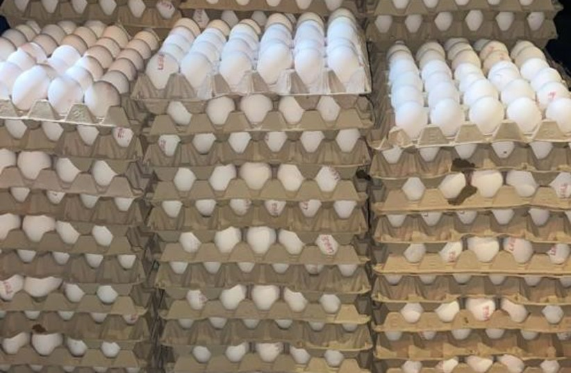  Thousands of smuggled eggs in the trunk of a car. (photo credit: POLICE SPOKESPERSON'S UNIT)