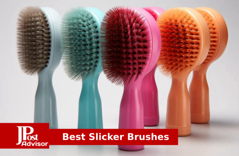  10 Most Popular Slicker Brushes for 2023 (photo credit: PR)